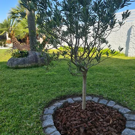 Casa A Pastora * Cambados